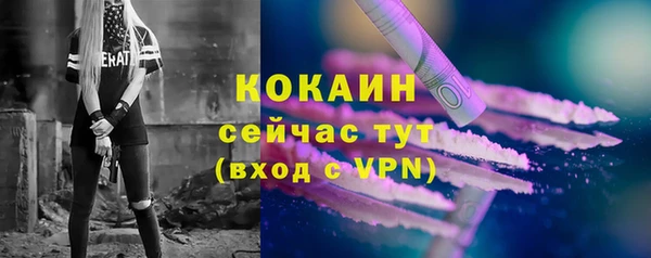 ПСИЛОЦИБИНОВЫЕ ГРИБЫ Волосово